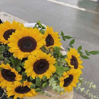 IM电竞平台下载