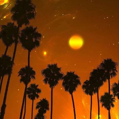 星空app官方版下载手机版截图