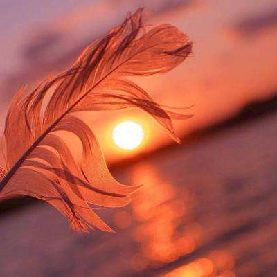 Kaiyun·体育(全站)