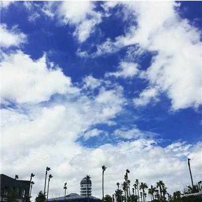 电子mg官方网站 