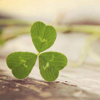 新版江南app登录