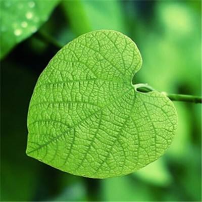 皇冠新体育下载手机版